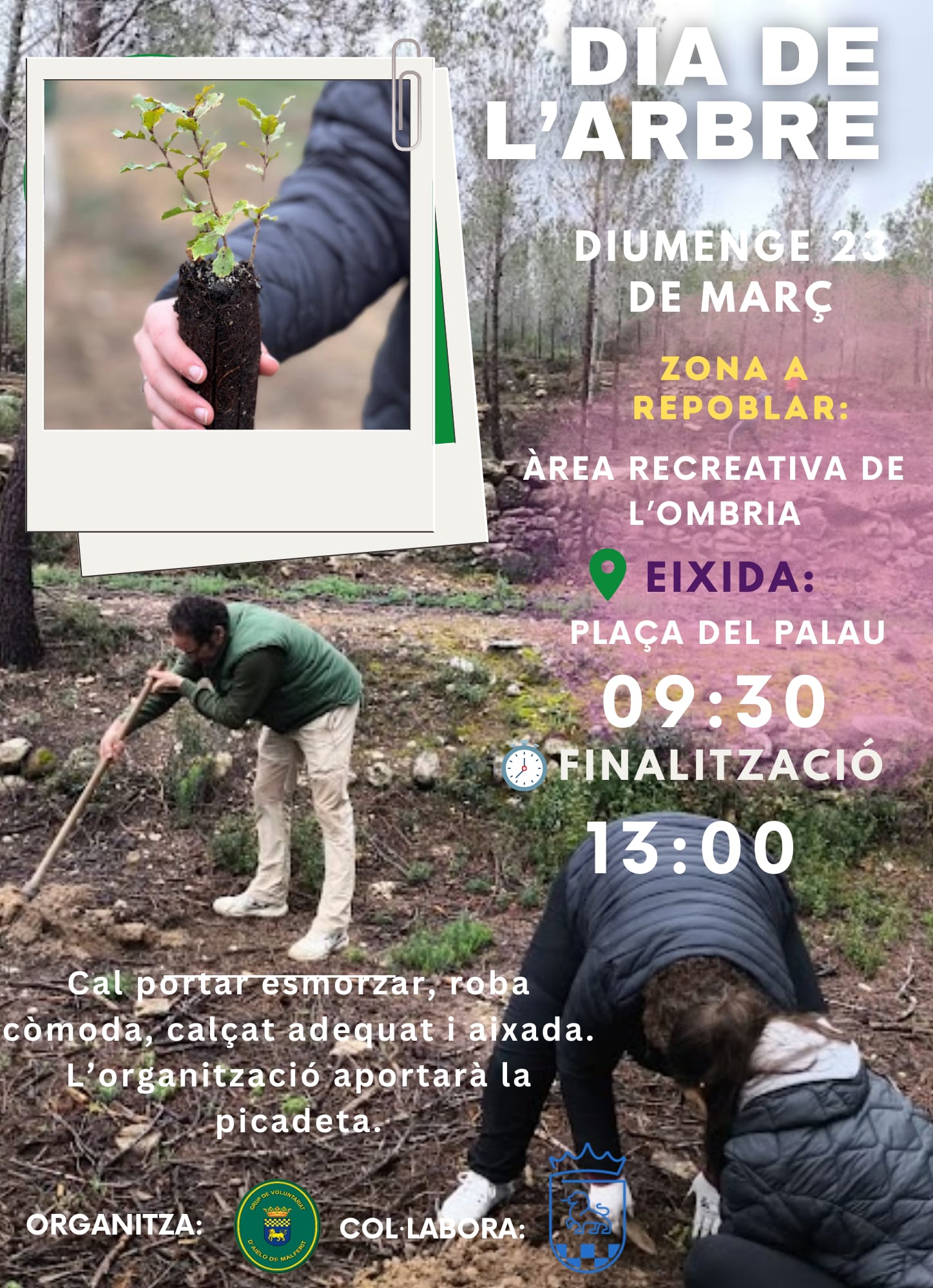 DIA DE L'ARBRE 2025