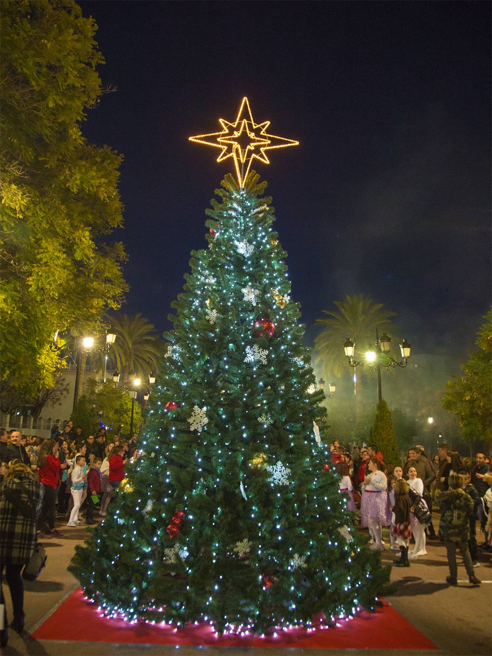 Encesa de l’arbre i les llums de Nadal