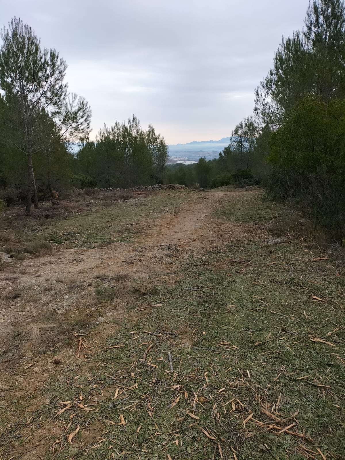 Aielo de Malferit conclou les actuacions subvencionades amb el Pla REACCIONA 2021